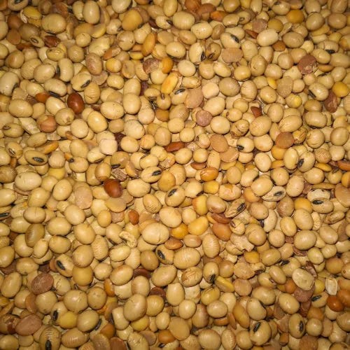 Eurital Eurital Sojabohnen getoastet 5 kg - Animals & Pet Supplies > Pet Supplies > Bird Supplies > Bird Food