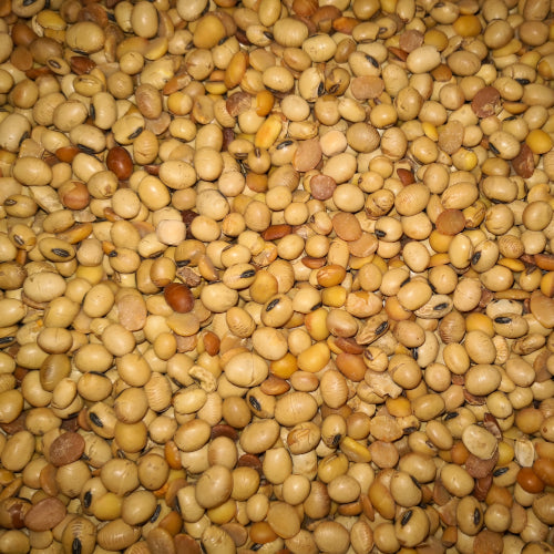 Eurital Sojabohnen getoastet 2,5 kg