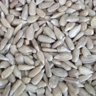 Eurital Eurital geschälte Sonnenblumenkerne 5kg - Animals & Pet Supplies > Pet Supplies > Bird Supplies > Bird Food