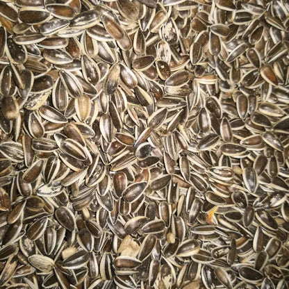 Eurital Eurital Sonnenblumenkerne gestreift und ungeschält 2,5 Kg - Animals & Pet Supplies > Pet Supplies > Bird Supplies > Bird Food