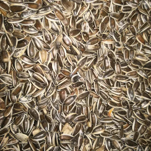 Eurital Eurital Gestreifte Sonnenblumenkerne 5kg für Vögel und Haustiere - Animals & Pet Supplies > Pet Supplies > Bird Supplies > Bird Food