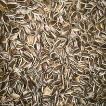 Eurital Eurital Gestreifte Sonnenblumenkerne 5kg für Vögel und Haustiere - Animals & Pet Supplies > Pet Supplies > Bird Supplies > Bird Food