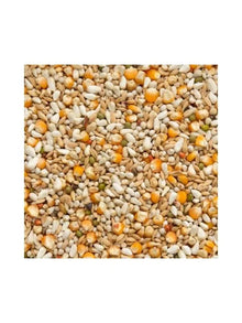 Beyers Belgium BEYERS Premium Vandenabeele 20kg - Animals & Pet Supplies > Pet Supplies > Bird Supplies > Bird Food Einzelfuttermittel