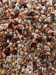 Eurital BTS Allround Topp Futter 20kg - Animals & Pet Supplies > Pet Supplies > Bird Supplies > Bird Food Einzelfuttermittel