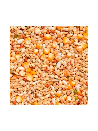 Beyers Enzymix MS Recup 20kg