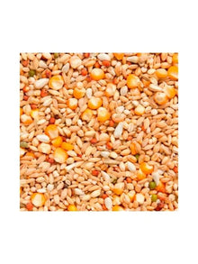 Beyers Belgium Beyers Enzymix MS Recup 20kg - Animals & Pet Supplies > Pet Supplies > Bird Supplies > Bird Food Ergänzungsfuttermittel