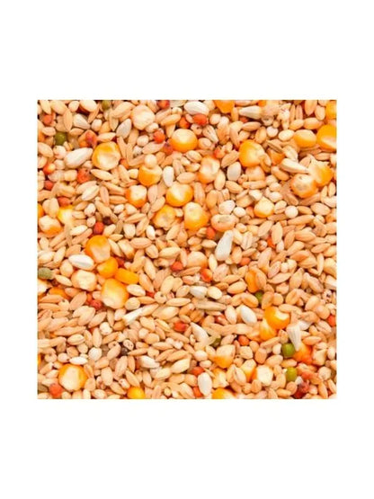 Beyers Belgium Beyers Enzymix MS Recup 20kg - Animals & Pet Supplies > Pet Supplies > Bird Supplies > Bird Food Ergänzungsfuttermittel