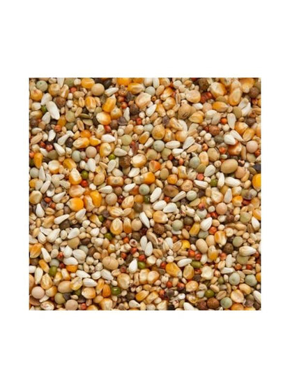 Beyers Premium Jan Keen Superlight 20kg