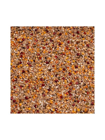 BEYERS SPORT ENERGY GALAXY 20kg