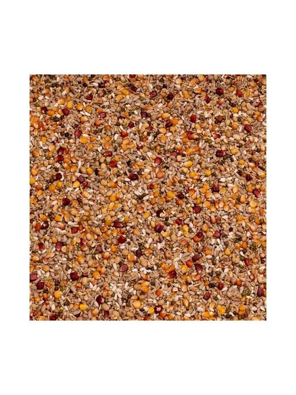 Beyers Belgium BEYERS SPORT ENERGY GALAXY 20kg - Animals & Pet Supplies > Pet Supplies > Bird Supplies > Bird Food Einzelfuttermittel