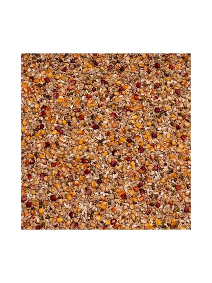 Beyers Belgium BEYERS SPORT ENERGY GALAXY 20kg - Animals & Pet Supplies > Pet Supplies > Bird Supplies > Bird Food Einzelfuttermittel