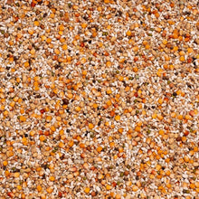 Beyers Premium Youngsters 20 kg