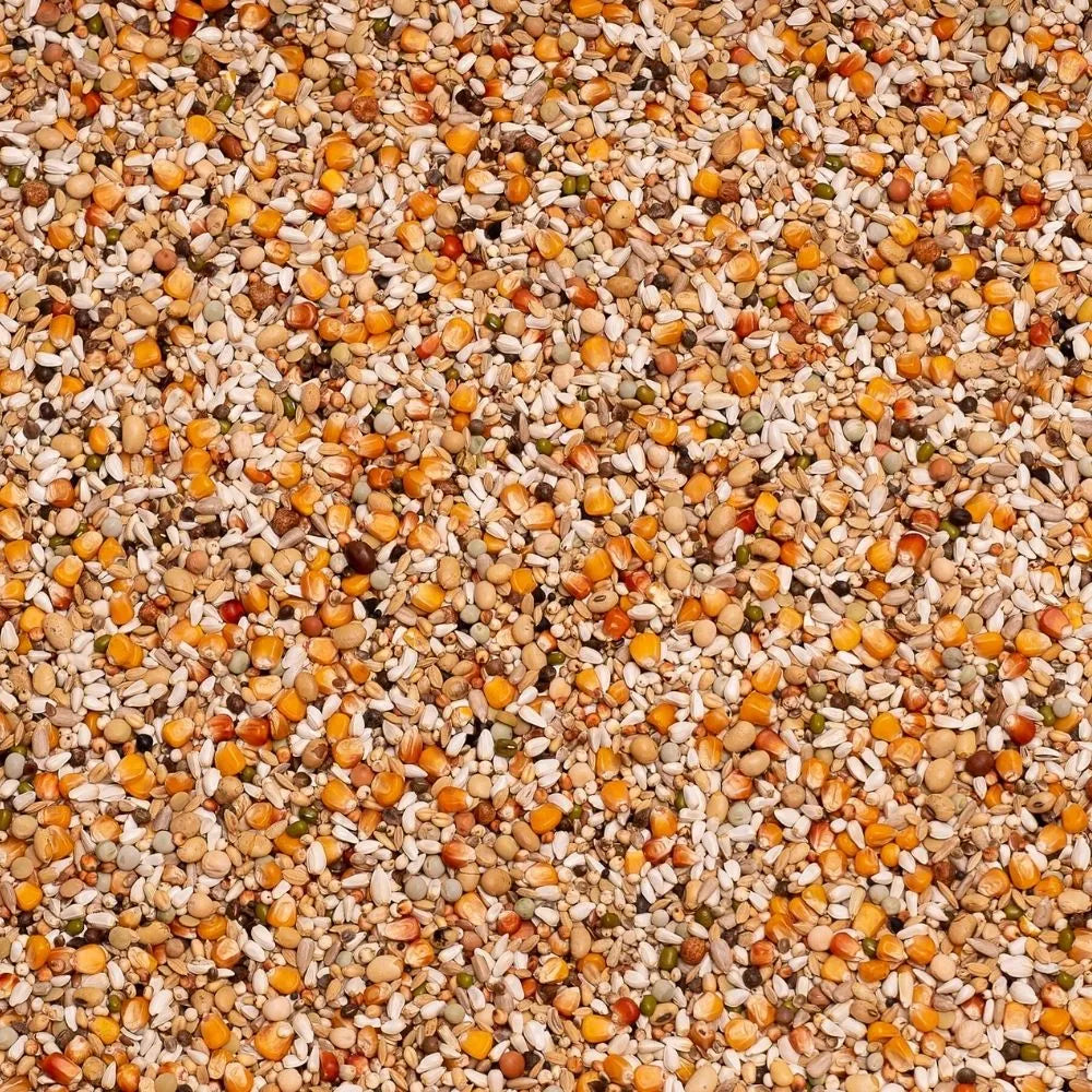 Beyers Belgium Beyers Premium Youngsters 20 kg - Animals & Pet Supplies > Pet Supplies > Bird Supplies > Bird Food Einzelfuttermittel