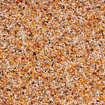 Beyers Premium Youngsters 20 kg