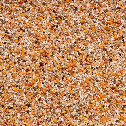 Beyers Belgium Beyers Premium Youngsters 20 kg - Animals & Pet Supplies > Pet Supplies > Bird Supplies > Bird Food Einzelfuttermittel