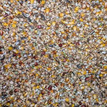 Eurital Eurital Taubenfutter für alle Rassen 10 kg - Animals & Pet Supplies > Pet Supplies > Bird Supplies > Bird Food Ergänzungsfuttermittel