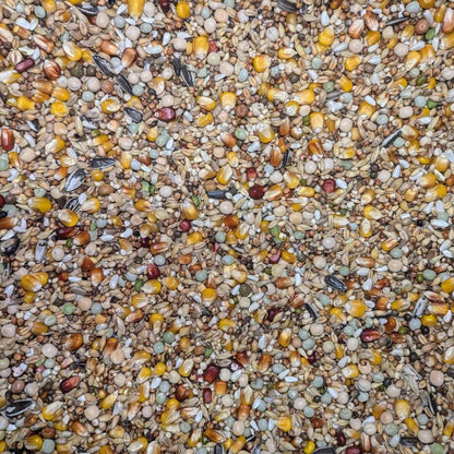 Eurital Eurital Taubenfutter für alle Rassen 10 kg - Animals & Pet Supplies > Pet Supplies > Bird Supplies > Bird Food Ergänzungsfuttermittel