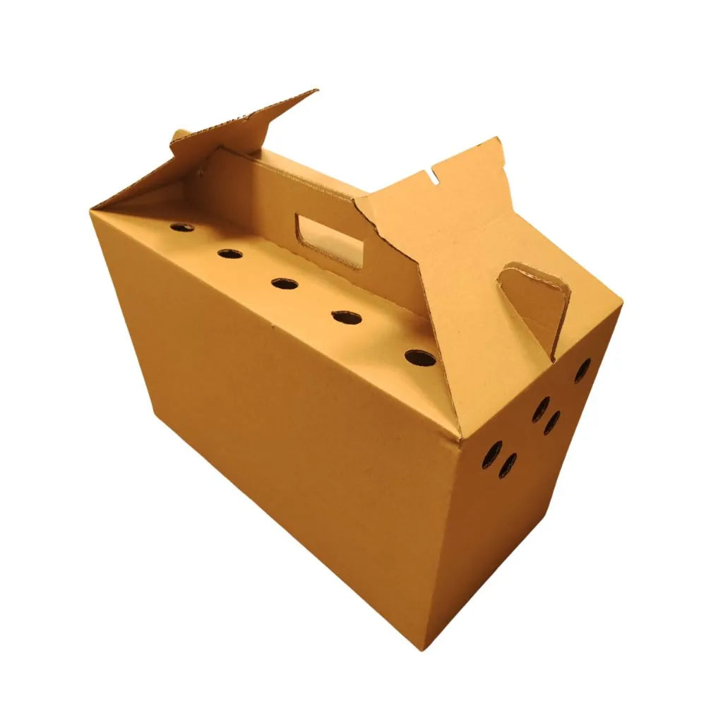 Eurital Transportkarton für Tauben, Geflügel und Kleintiere (groß) - Animals & Pet Supplies
