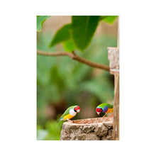 Eurital Eurtial Exoten-Mix - Animals & Pet Supplies > Pet Supplies > Bird Supplies > Bird Food