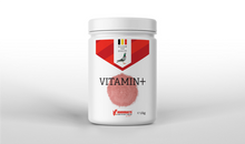 Vanrobaeys Vitamin+ 2 kg – Mineralmischung