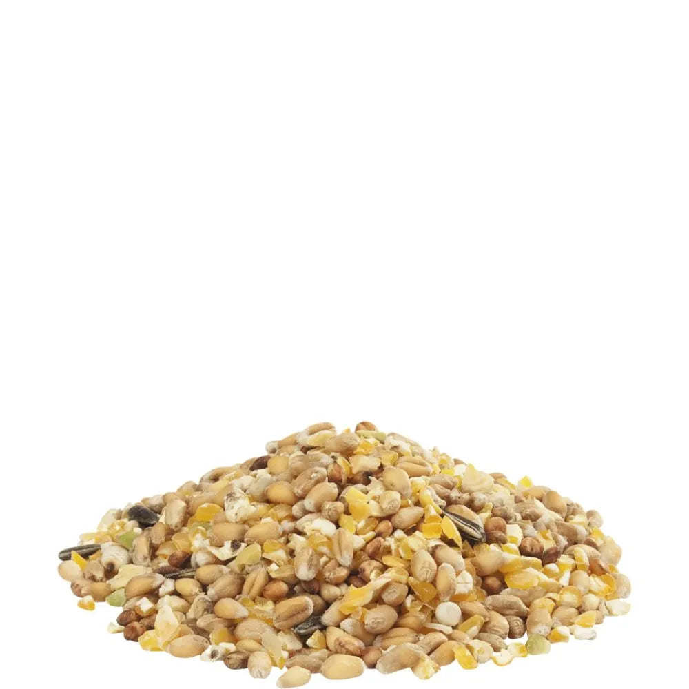 Country's Best Countrys Best Gra Mix Ardenner Mischung 20kg - Animals & Pet Supplies > Pet Supplies > Bird Supplies > Bird Food Einzelfuttermittel