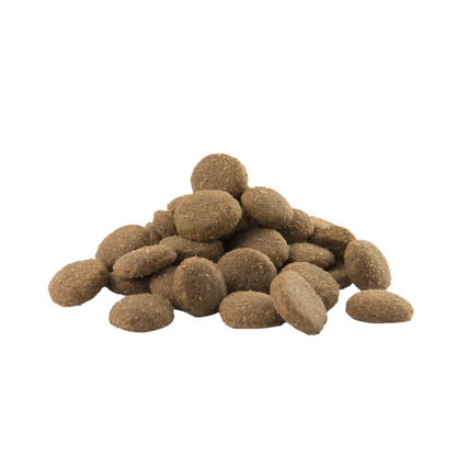 Opti Life Versele-Laga Opti-Life Adult Skin Care Medium & Maxi 12,5kg - Animals & Pet Supplies > Pet Supplies > Dog Supplies > Dog Food > Non-Prescription Dog Food