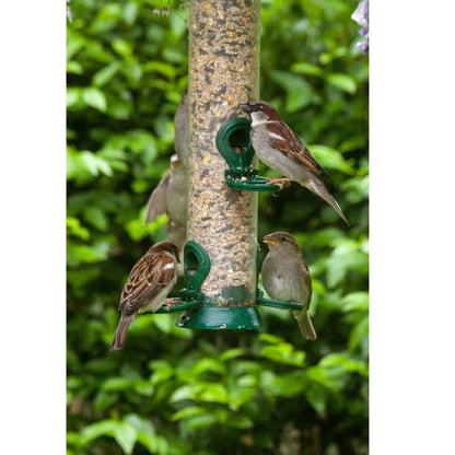 Eurital Eurital Streufutter 5 kg - Animals & Pet Supplies > Pet Supplies > Bird Supplies > Bird Food