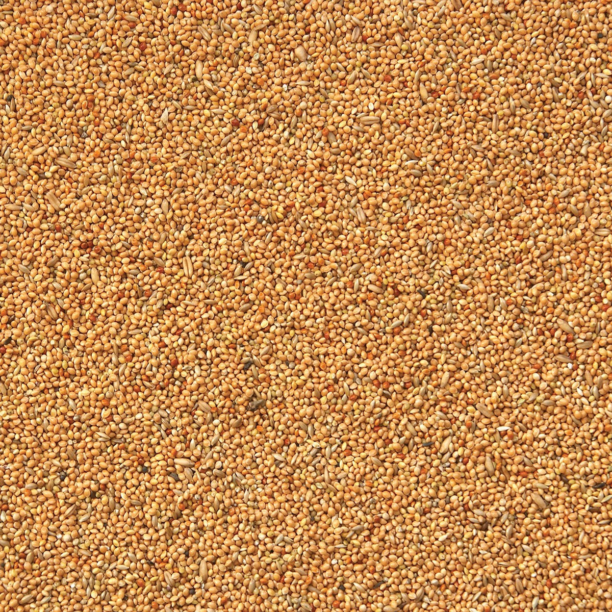 Eurital Wellensittich Basis