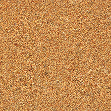 Eurital Wellensittich Basis