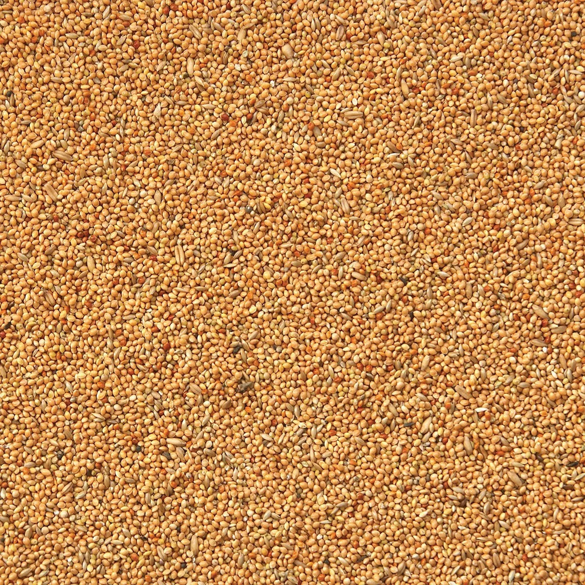 Eurital Eurital Wellensittich Basis - Animals & Pet Supplies > Pet Supplies > Bird Supplies > Bird Food