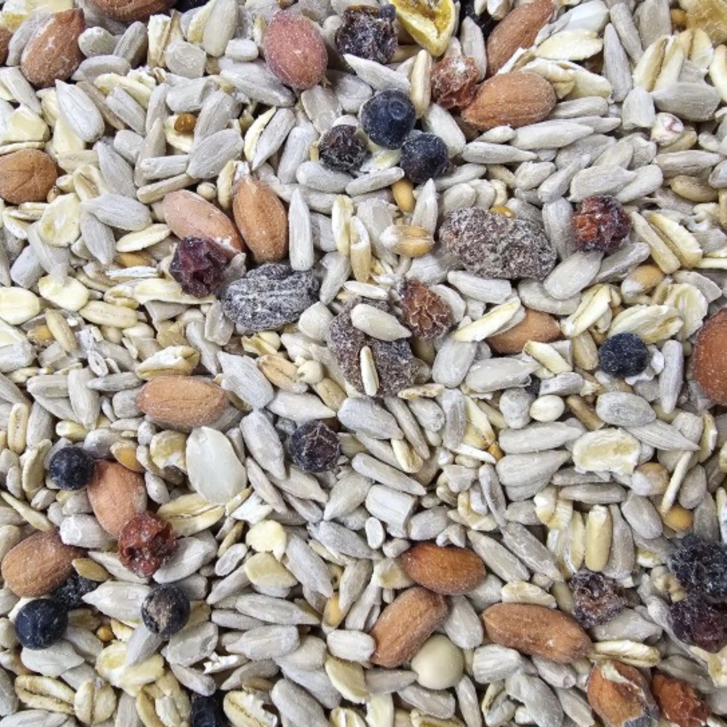 Deli Nature Deli Nature Winterfutter Terrasse Premium 15kg - Schalenlos - Animals & Pet Supplies > Pet Supplies > Bird Supplies > Bird Food