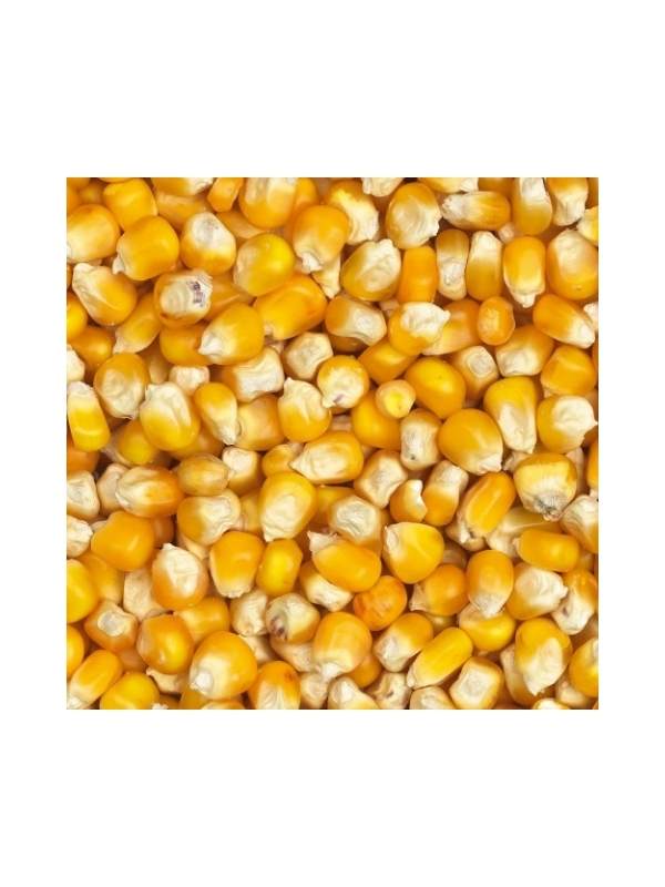 Eurital Yellow Crisp Mais 2,5 kg