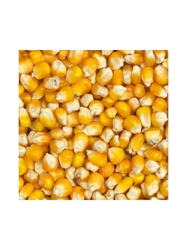 Eurital Eurital Yellow Crisp Mais 2,5 kg - Animals & Pet Supplies > Pet Supplies > Bird Supplies > Bird Food