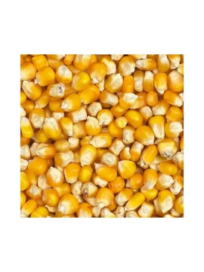 Eurital Eurital Yellow Crisp Mais 5 kg - Animals & Pet Supplies > Pet Supplies > Bird Supplies > Bird Food