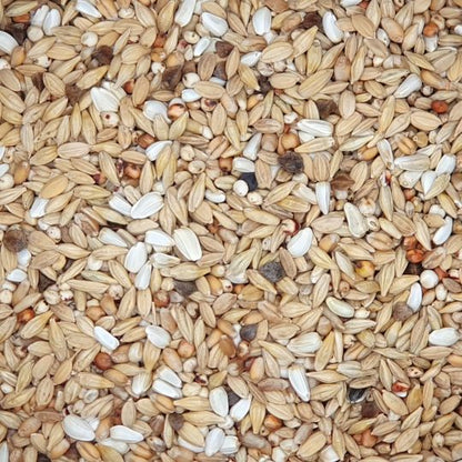 BEYERS Nr. 23 Diät Säuberung 25kg