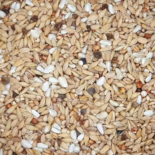 Beyers Belgium BEYERS Nr. 23 Diät Säuberung 20kg - Animals & Pet Supplies > Pet Supplies > Bird Supplies > Bird Food Einzelfuttermittel