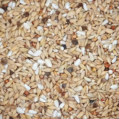 Beyers Belgium BEYERS Nr. 23 Diät Säuberung 20kg - Animals & Pet Supplies > Pet Supplies > Bird Supplies > Bird Food Einzelfuttermittel