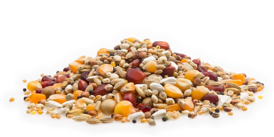 mifuma Brieftauben Premium 25kg Energy