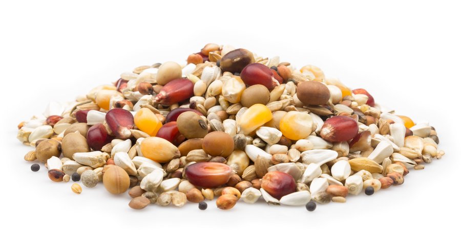 mifuma Brieftauben Premium 25kg Power-Mix