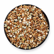 FooFine Rassetauben Vital ohne Mais
