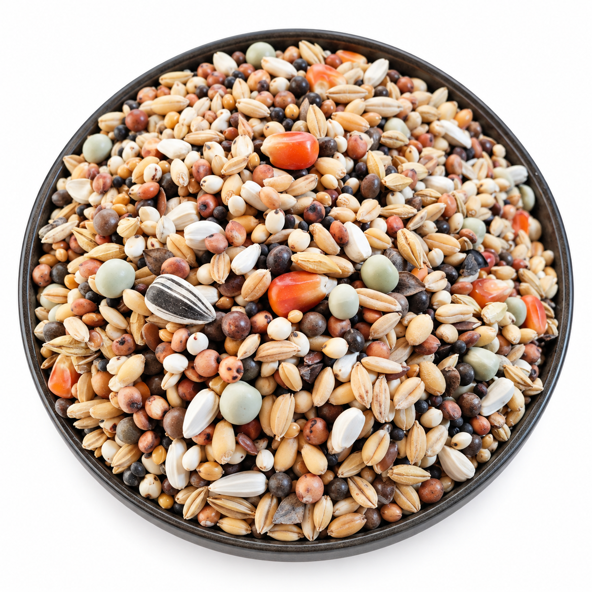 FooFine Usbeken Vital 25 kg