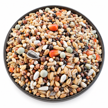 FooFine Usbeken Vital 25 kg