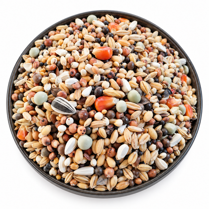 FooFine Usbeken Vital 25 kg