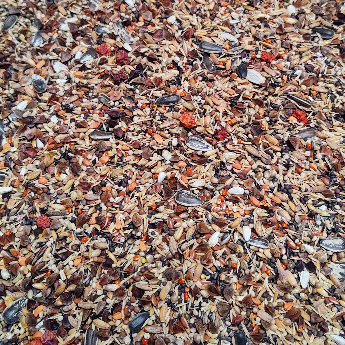 Eurital Dompfaff Premium