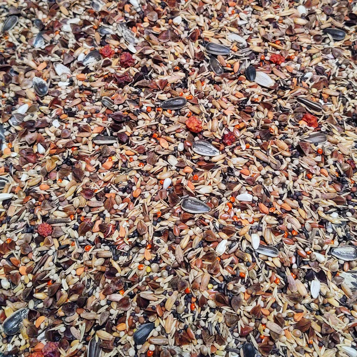 Eurital Eurital Dompfaff Premium - Animals & Pet Supplies > Pet Supplies > Bird Supplies > Bird Food