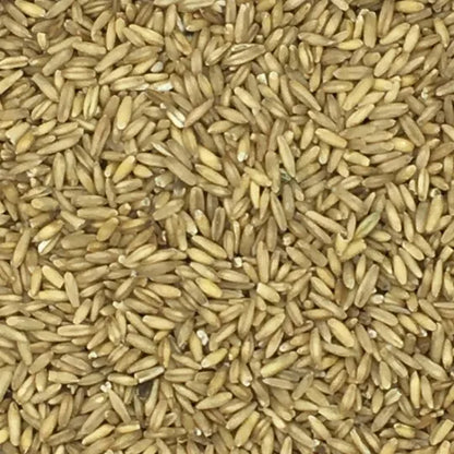 Eurital Eurital Haferkerne 2,5 kg - Animals & Pet Supplies > Pet Supplies > Bird Supplies > Bird Food