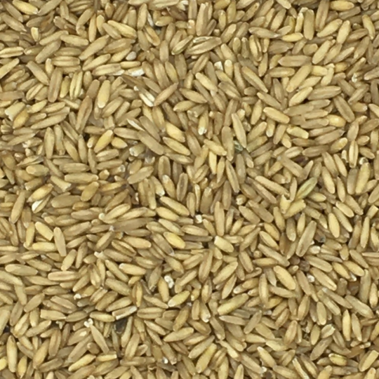 Eurital Haferkerne 2,5 kg