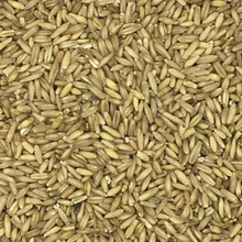 Eurital Haferkerne 2,5 kg