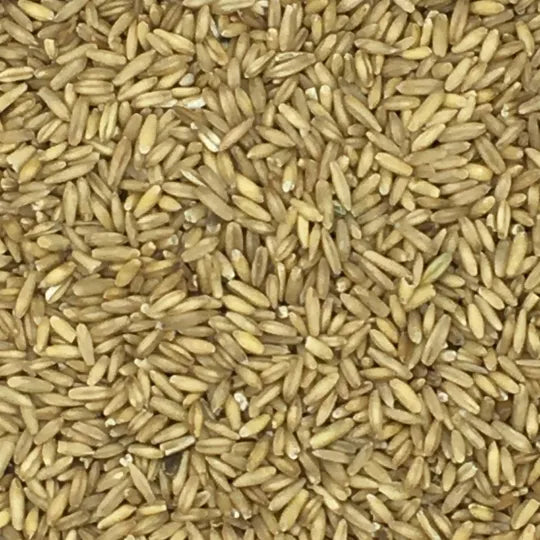 Eurital Eurital Haferkerne 5 kg - Animals & Pet Supplies > Pet Supplies > Bird Supplies > Bird Food