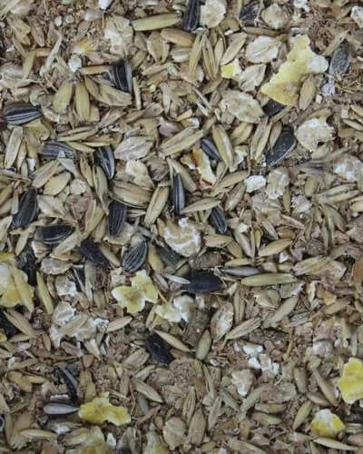 Scharnebecker Mühle Goldpferd Mash P14 20kg Fertigmash mit Goldleinsaat - Sporting Goods > Outdoor Recreation > Equestrian > Horse Care > Horse Feed Einzelfuttermittel